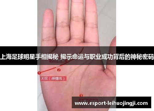 上海足球明星手相揭秘 揭示命运与职业成功背后的神秘密码