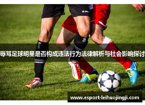 辱骂足球明星是否构成违法行为法律解析与社会影响探讨