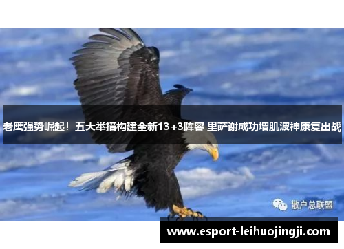 老鹰强势崛起！五大举措构建全新13+3阵容 里萨谢成功增肌波神康复出战